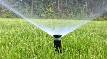 Irrigazione efficiente: Segreti per un giardino rigoglioso