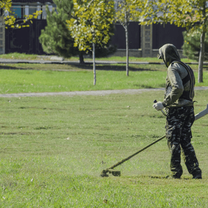 Lavori essenziali per il prato in febbraio: Guida alla manutenzione