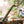 Carica l'immagine nel visualizzatore Galleria, Troncarami telescopico Amboss - Stocker 75-100 cm