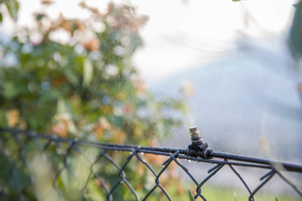 Tubo nero 100 m Ø 8 mm per Geyser - Stocker