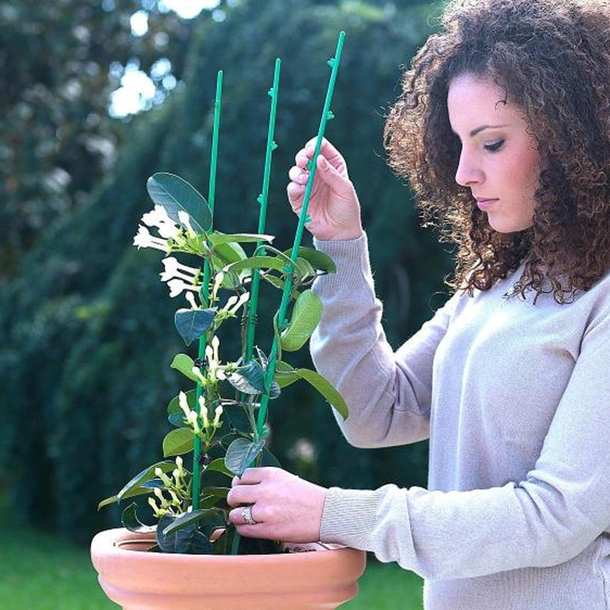 Giardinaggio in vaso