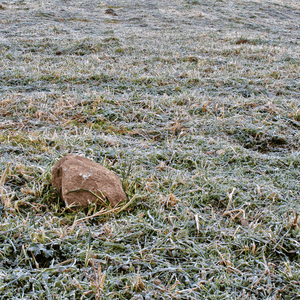 L' inverno nel giardino: Trasformare il freddo in un' occasione per il tuo prato.