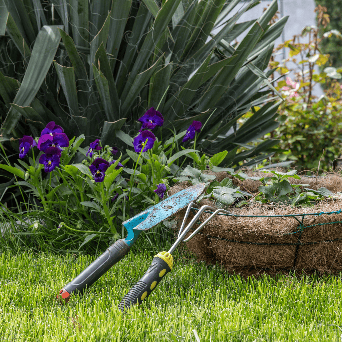 Guida al giardinaggio per principianti: Consigli e tecniche per iniziare