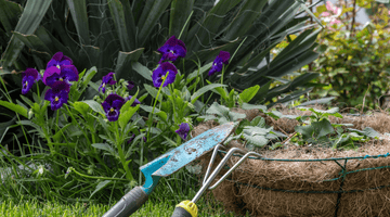 Guida al giardinaggio per principianti: Consigli e tecniche per iniziare