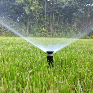 Irrigazione efficiente: Segreti per un giardino rigoglioso