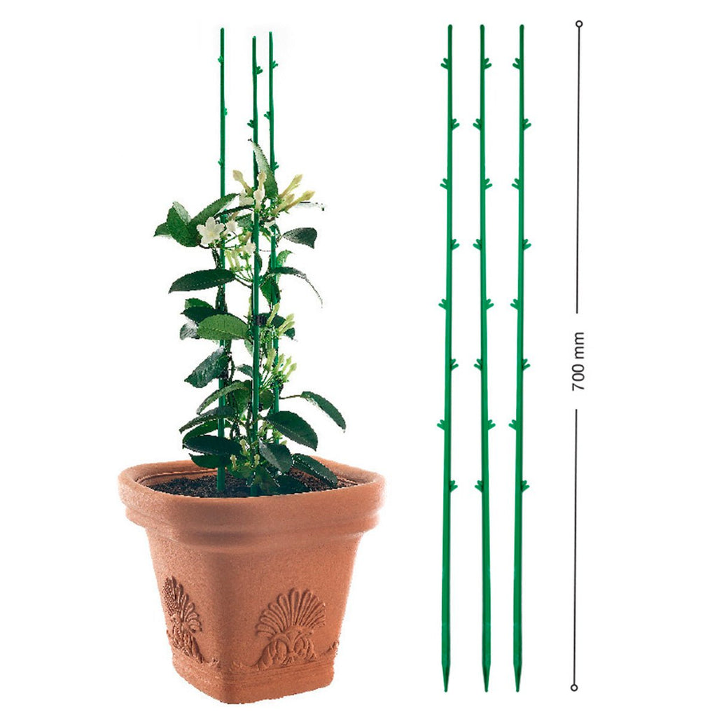 Supporto per pianta - Di Martino 70 cm