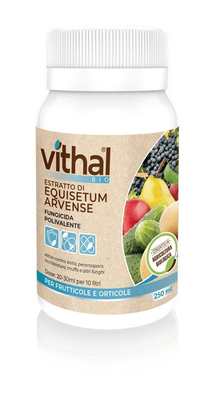 Estratto di equiseto Bio - Vithal 250 ml