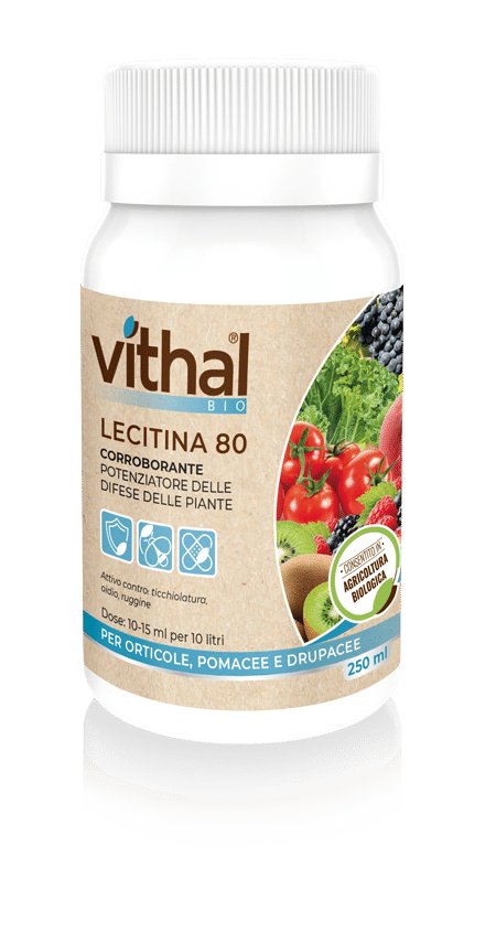 Corroborante Lectina 80 Bio - Vithal 250 ml