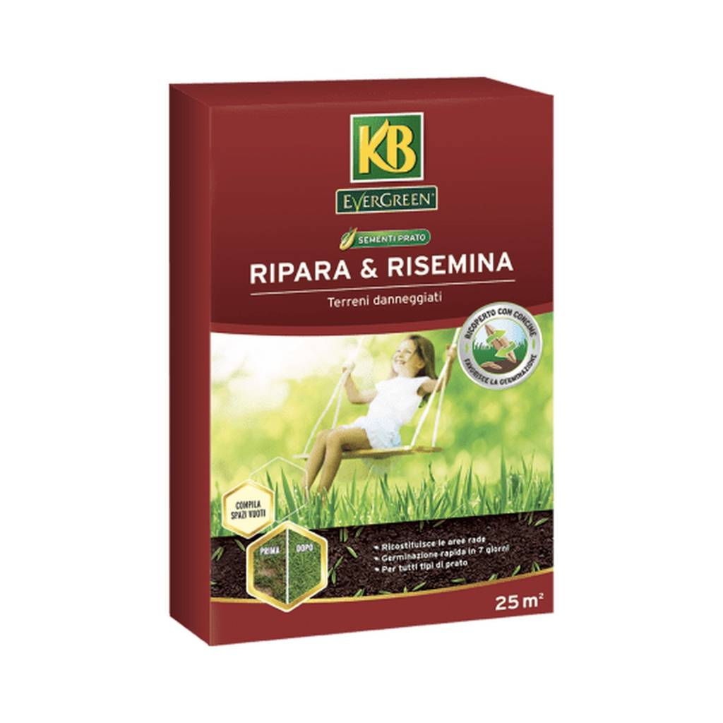 Repara y resiembra - Evergreen 1 kg