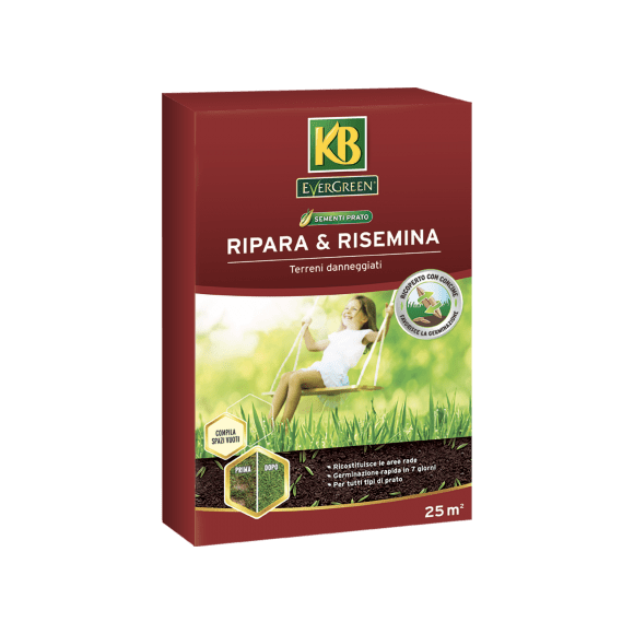 Ripara e risemina - Evergreen 1 kg