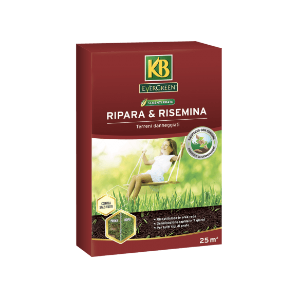 [Linea verde]  Ripara e risemina - Evergreen 1Kg