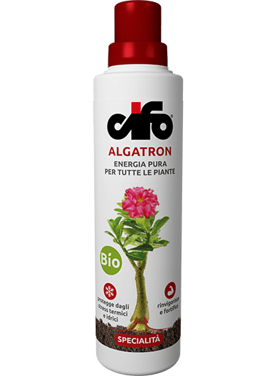 Algatron - Cifo 500 ml
