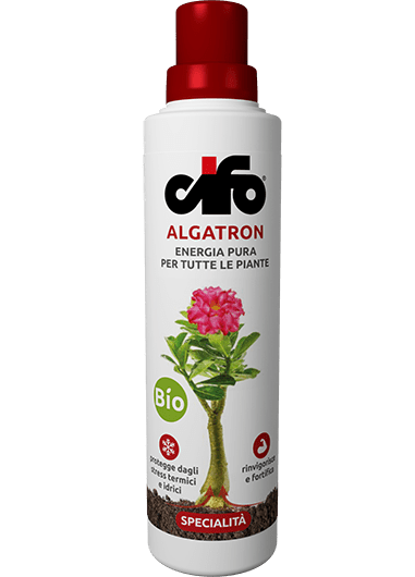 [Linea verde]  Algatron - Cifo 500ml