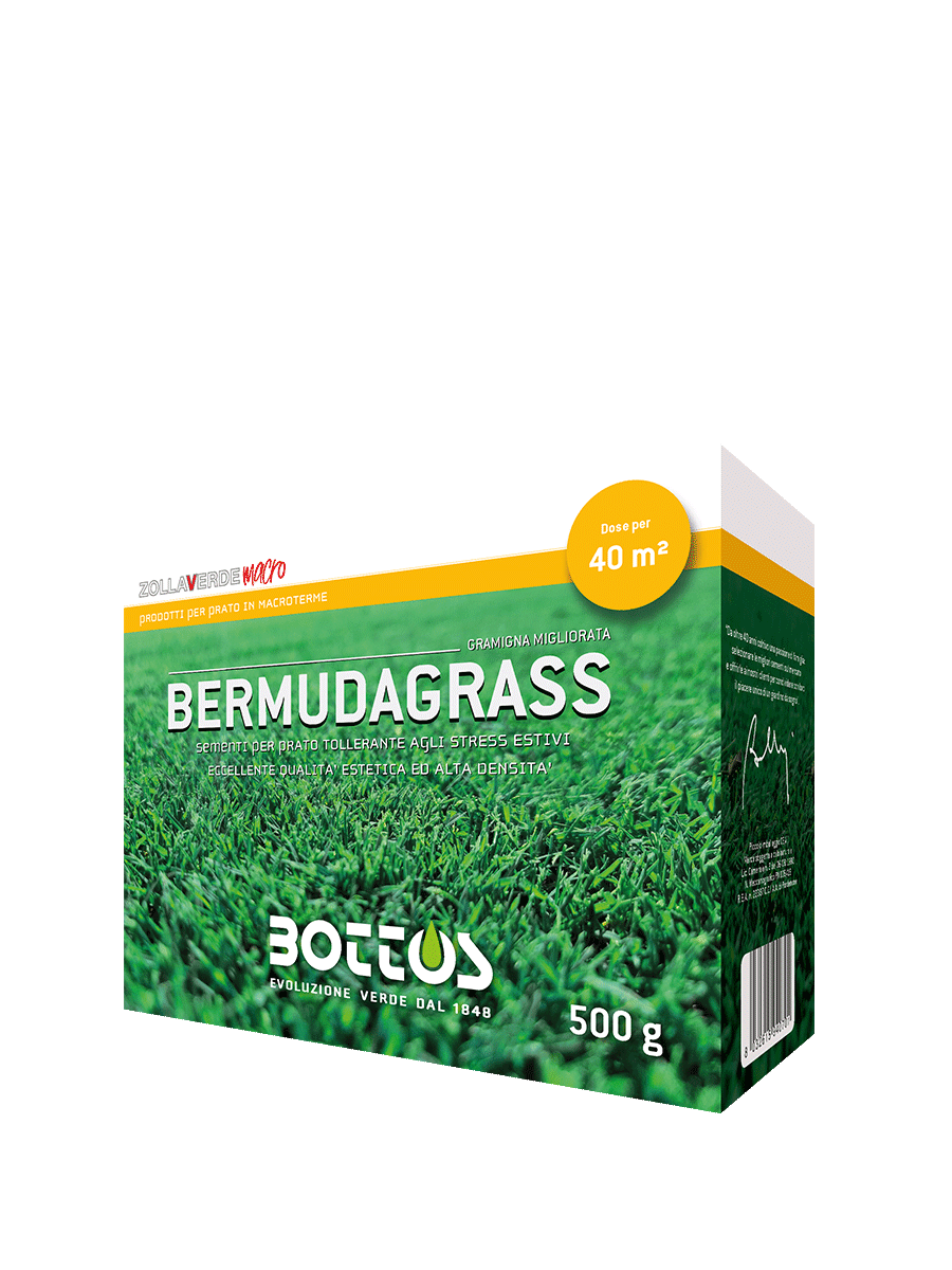 Bermudagrass - Bottos