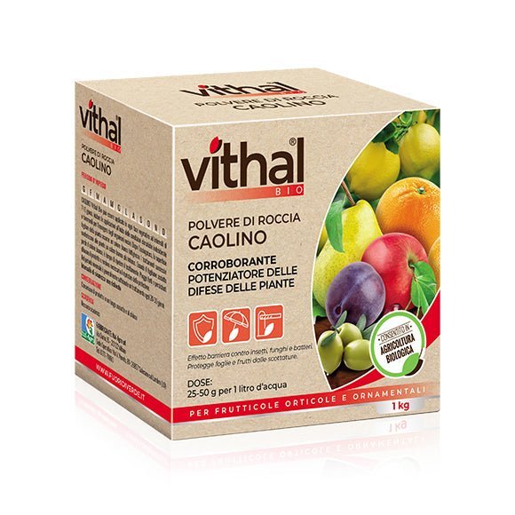 Polvere di roccia caolino - Vithal 1 kg