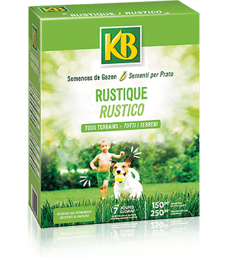 [Linea verde]  Rustico - KB 875gr