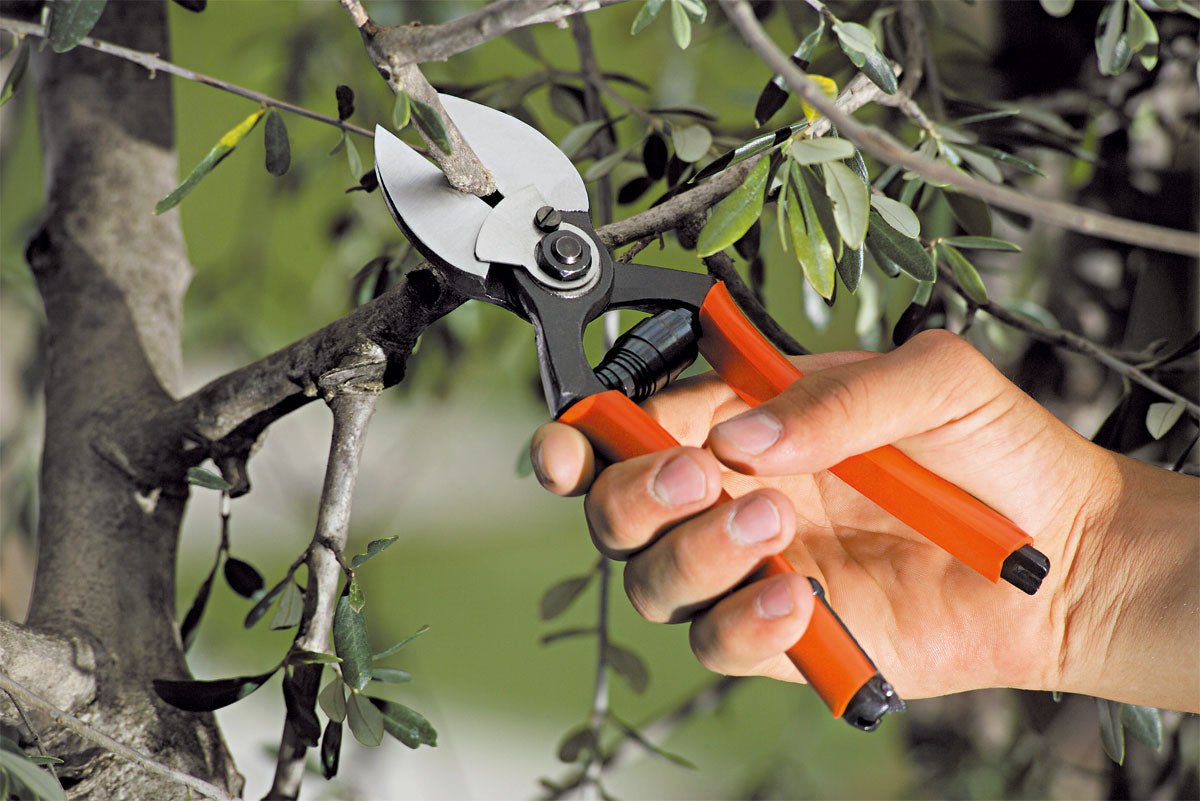 Forbice a doppio taglio 21 - Stocker