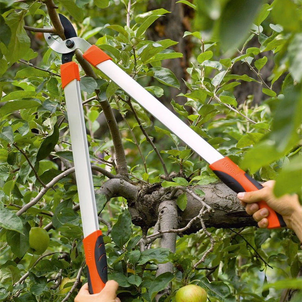 Troncaramas Hobby 66 Amboss - Stocker