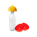 Insect Traps - Di Martino
