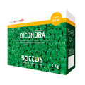 Dicondra - Bottos 1 kg