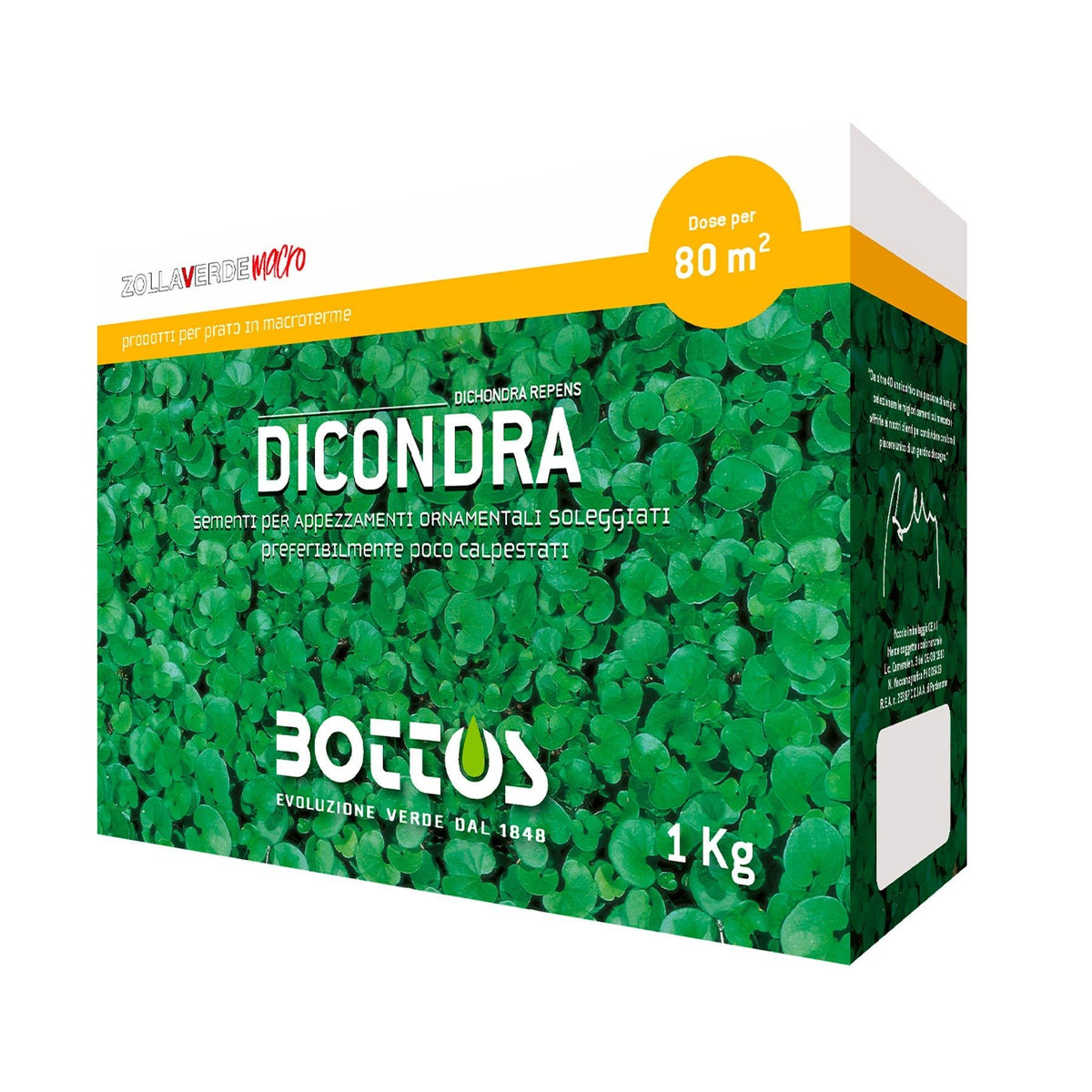 Dicondra - Bottos 1 kg
