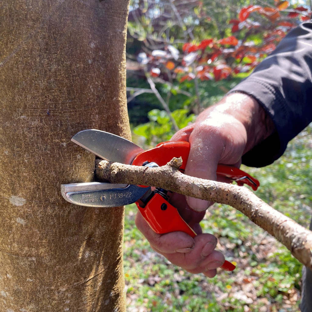 Swivel shears - Bahco