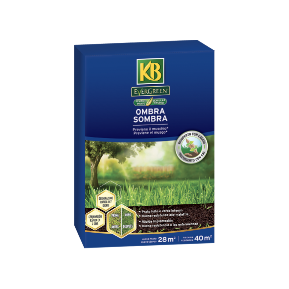 Sementi prato Ombra - Evergreen 1 kg