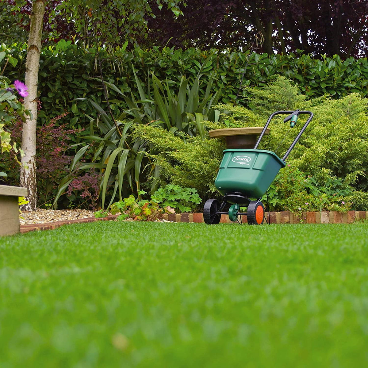 Spandiconcime Easy Green - Evergreen