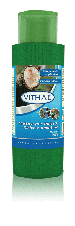 Mastice cicatrizzante Master Bio - Vithal 250 g