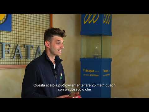 Repara y resiembra - Evergreen 1 kg