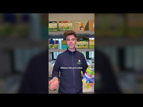 Prato Zero Macchie Bio - Vithal 250 g
