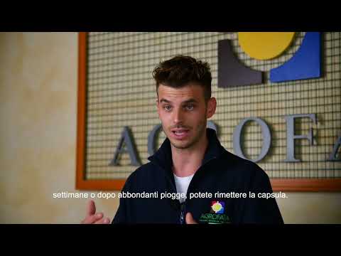 Larve di zanzare - Capsule solubili - Nexa