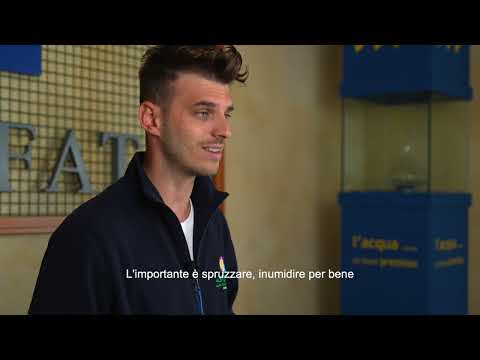 Disabituante piccioni - Vithal