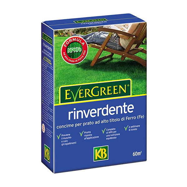 [Linea verde]  Rinverdente - Evergreen 2Kg